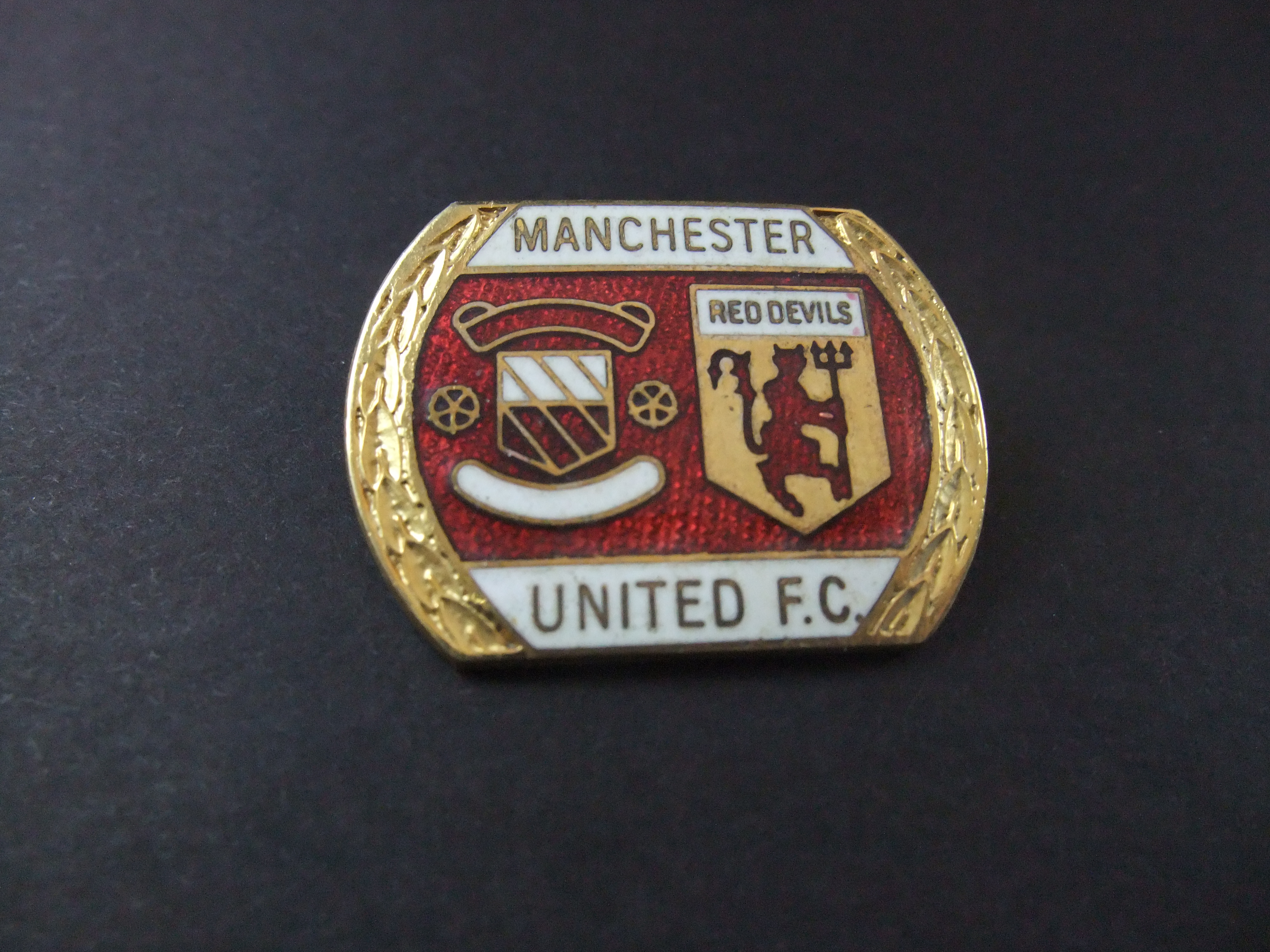 Manchester United - The Red Devils, Engelse voetbalclub